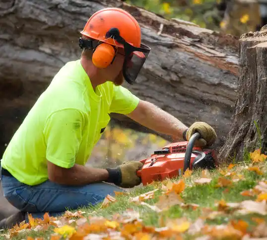 tree services Pasadena Hills